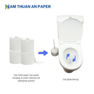 Z7044324910428 B50ac3d19b4136f618daf3af7c6b4198